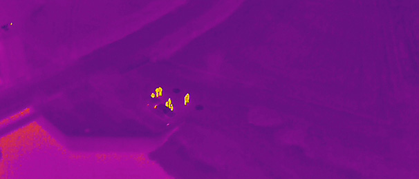 Continuous professional development, night drone flying, thermal imaging